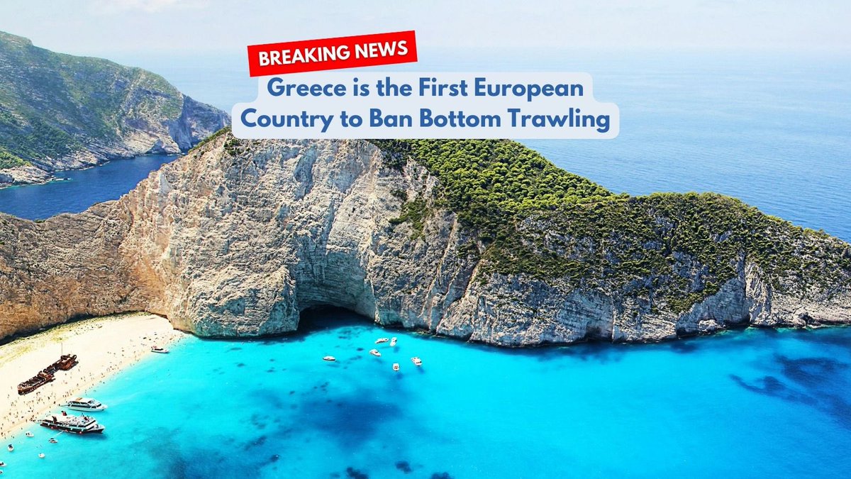🌊 Greece makes waves in ocean conservation! 🇬🇷💙 Banning bottom trawling in marine parks, pledging €780m for protection. Prime Minister @Mitsotakis announces new parks, expanding protected waters by 80%! #GreeceProtects #OceanConservation