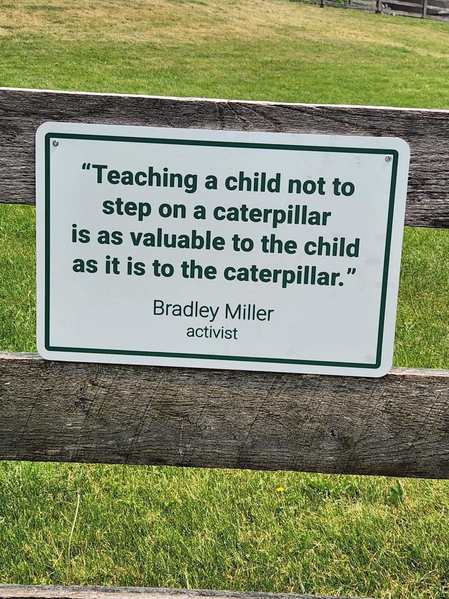 Save Tameside Greenbelt 🍃💚🍃 tweet media