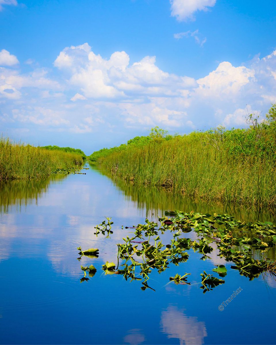 28. Everglades National Park (Florida)