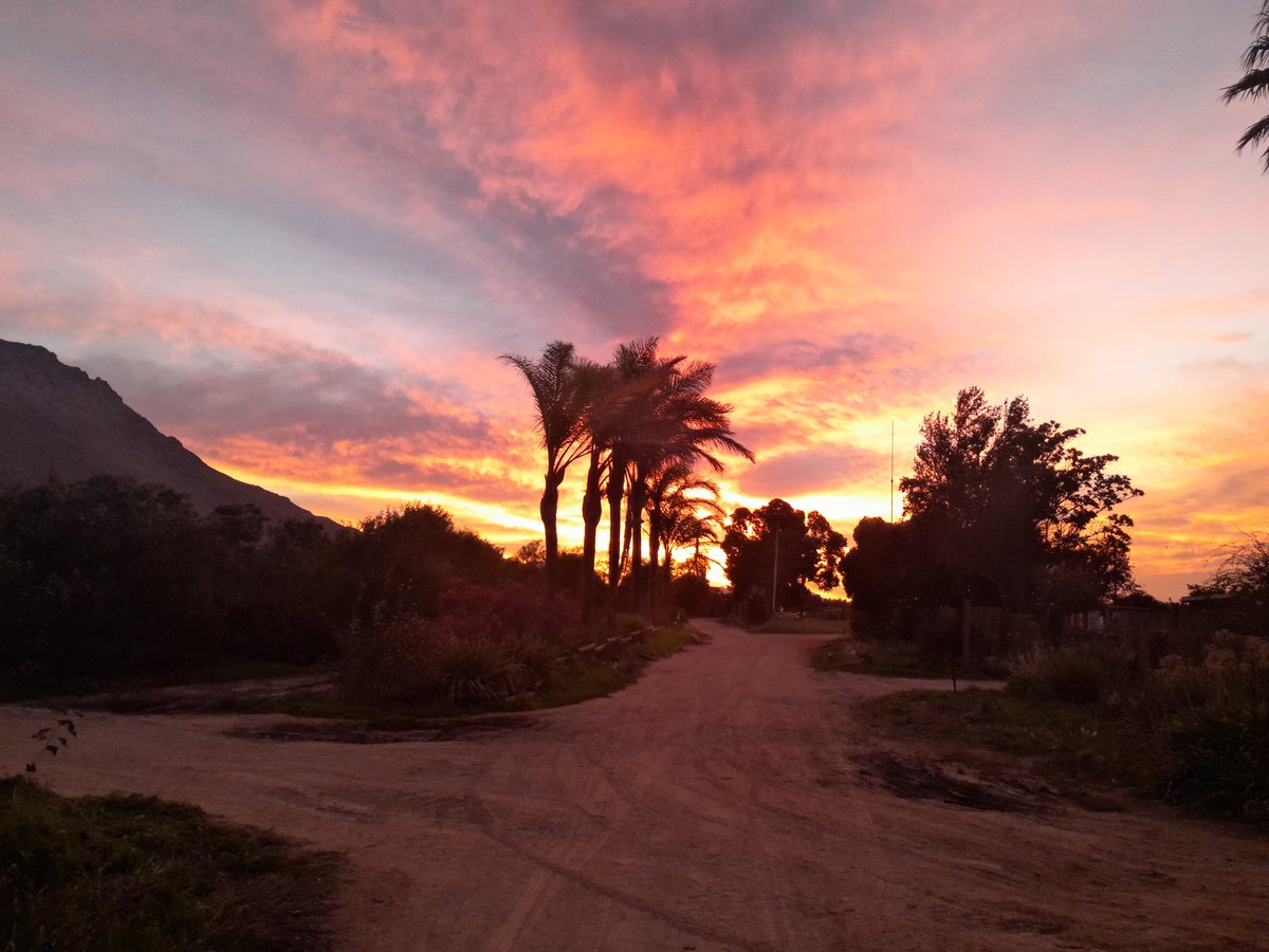 andrewllacm's tweet photo. ...and sunset vibes https://t.co/9oQchAOMvZ