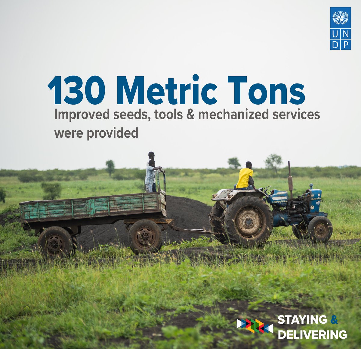 In the Two Areas, North Darfur, and East Sudan, @UNDP has supported the food security of over 26,000 internally displaced people & host community members through provision of agricultural inputs & access to agricultural mechanization 🌾🚜 #StayingAndDelivering