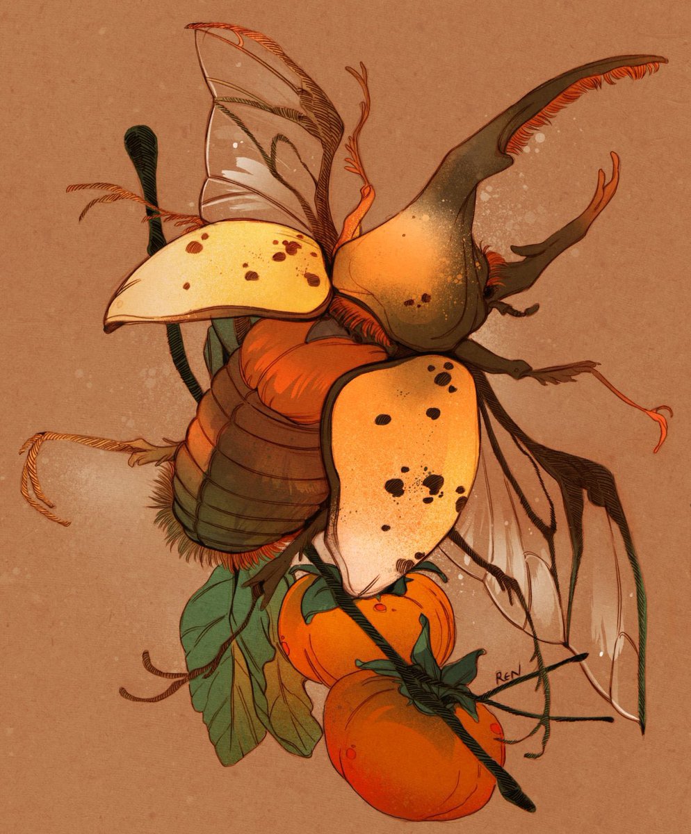 Beetle with persimmons