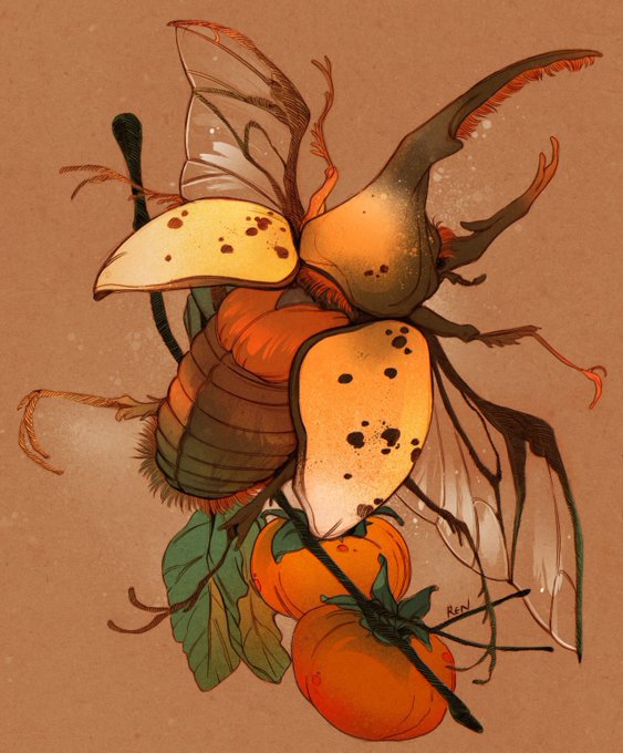 「jack-o'-lantern」 illustration images(Latest)