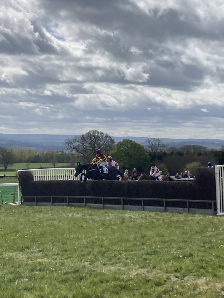 Canny day out corbridge point to point @NorthernAreaP2P