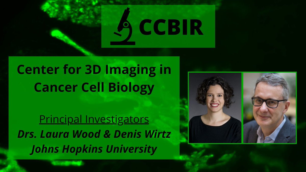 Dr. Denis Wirtz (@deniswirtz), Dr. Laura Wood, et al. at the @JohnsHopkins #CCBIR Center for 3D Imaging in Cancer Cell Biology are designing new tools to visualize #breastcancer and #PancreaticCancer at high spatial resolution. cancer.gov/about-nci/orga…