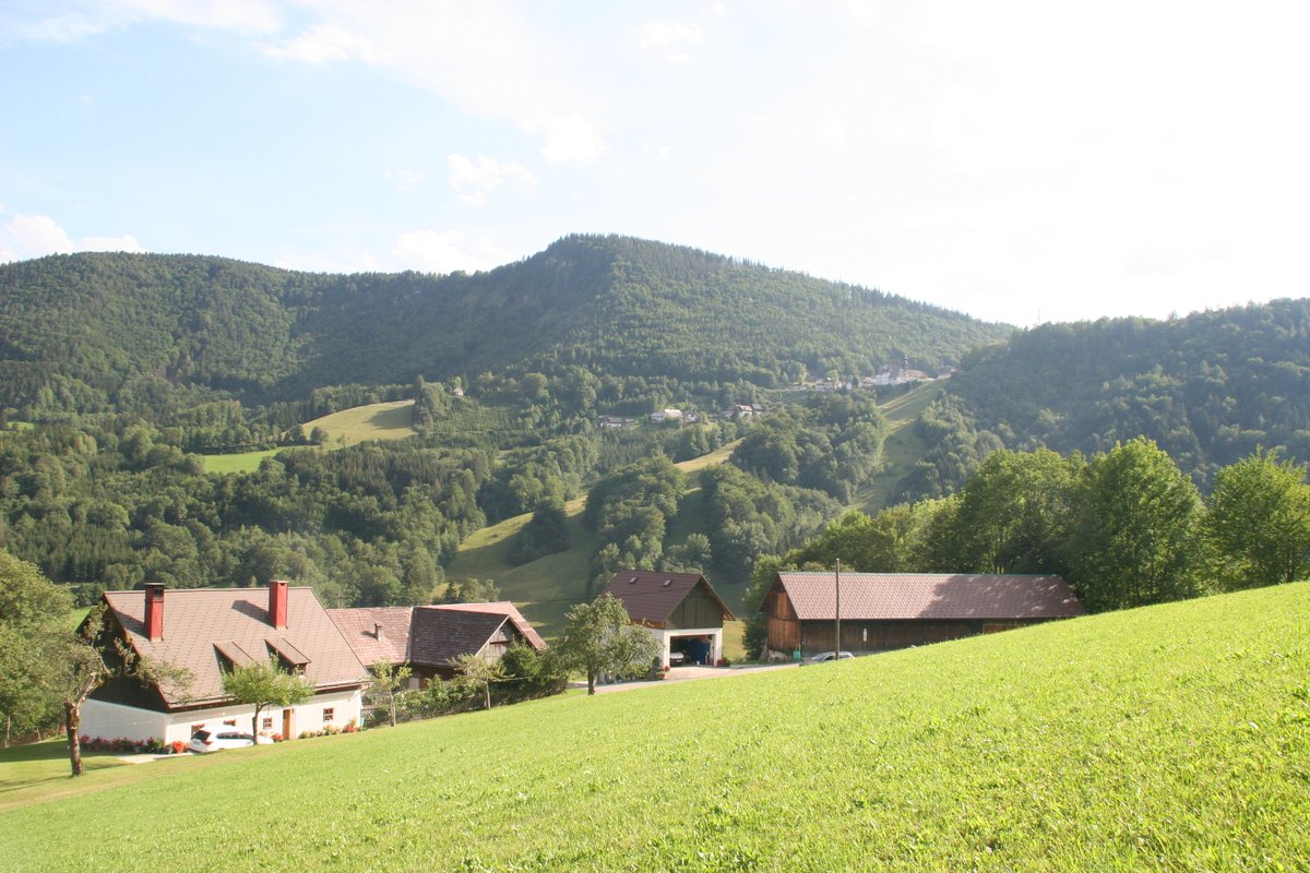 Ich wünsche Allen einen schönen Abend. Bleibt weiter gesund, freundlich & (er)lebensfroh. Bild: Der kleine (Nebenerwerbs-)Bauernhof meiner Freunde in Niederösterreich, wo ich immer Mal übernachte. Im Hintergrund oben auf dem Berg: Annaberg