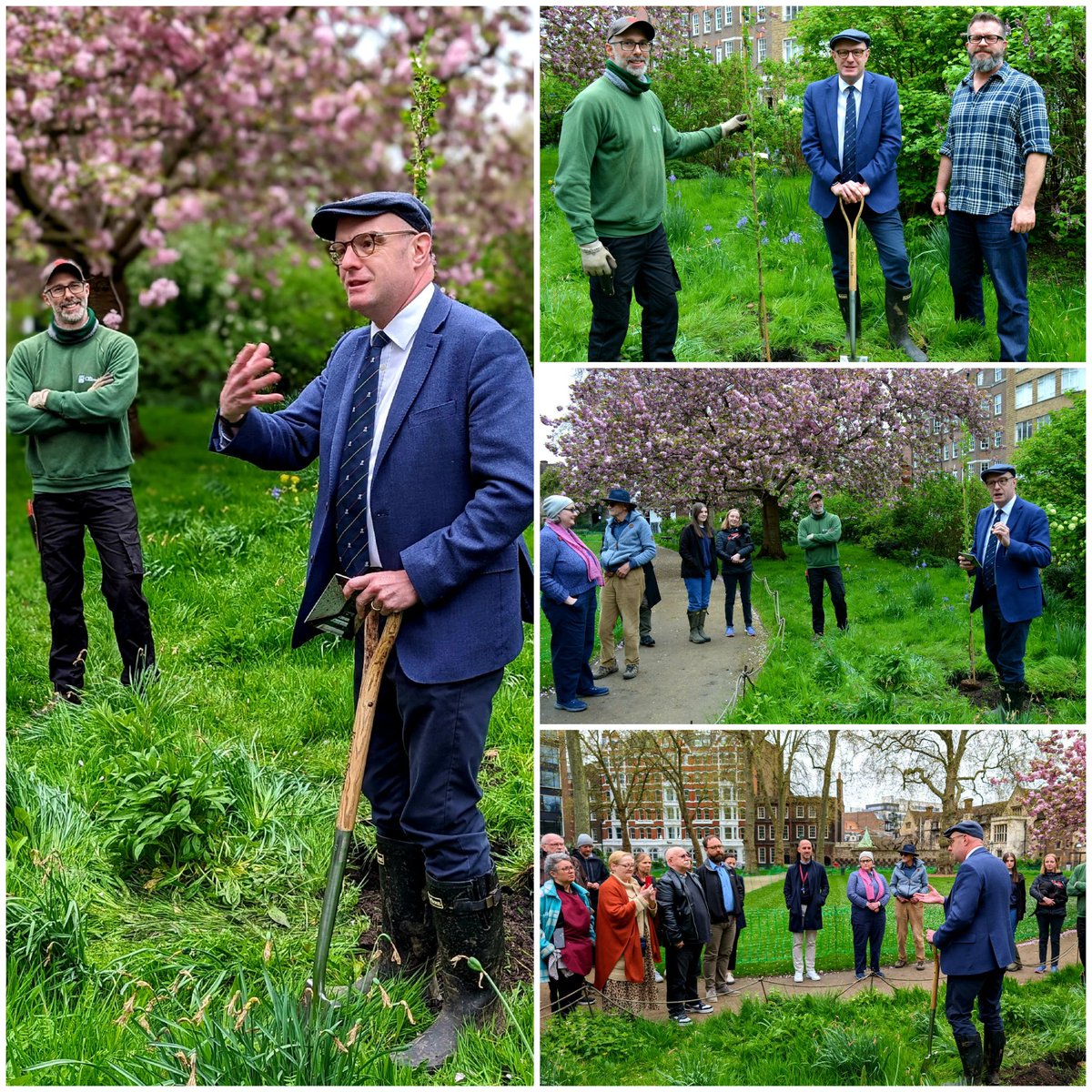The last two Ulmus 'Columella' of this years campaign were planted at the East entrance to Charterhouse Square by The Master, Peter Aires on 11th April 2024.