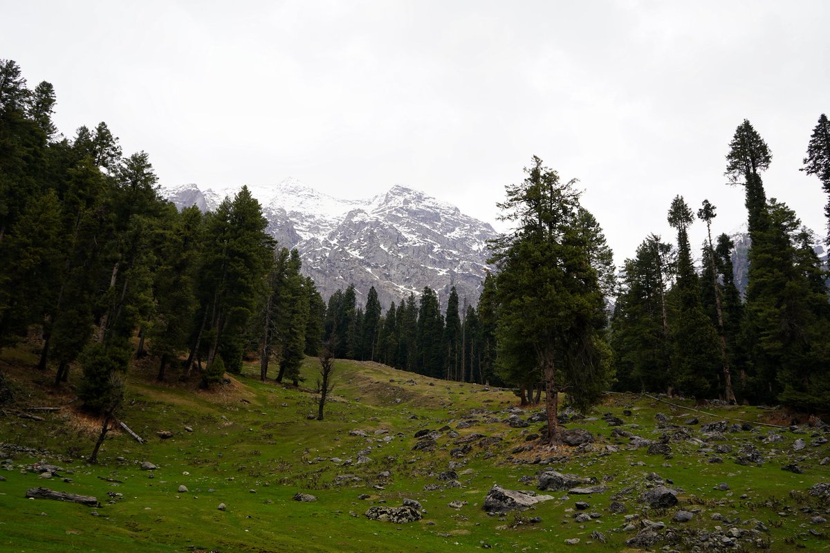 Rock cave temple. Kuthpathri around Aru valley, Kashmir. About 2500 mt above sea level. Must have been used by Sadhus. Dolomiaea costus, grew (still does) in the place, thus the name. Kuth from Kashmir was exported to China for incense making. 2nd pic: view from the cave.