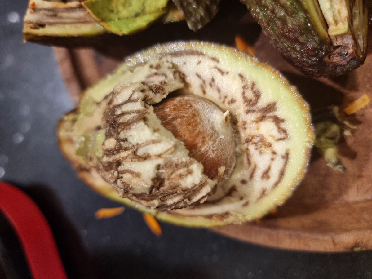 Wellington_Duke's tweet photo. Esta es la calidad de la palta de oferta que te vende @carrefourarg  en sucursal Martinez. 
Una estafa!
@DNDConsumidor https://t.co/z9u54JRLEW