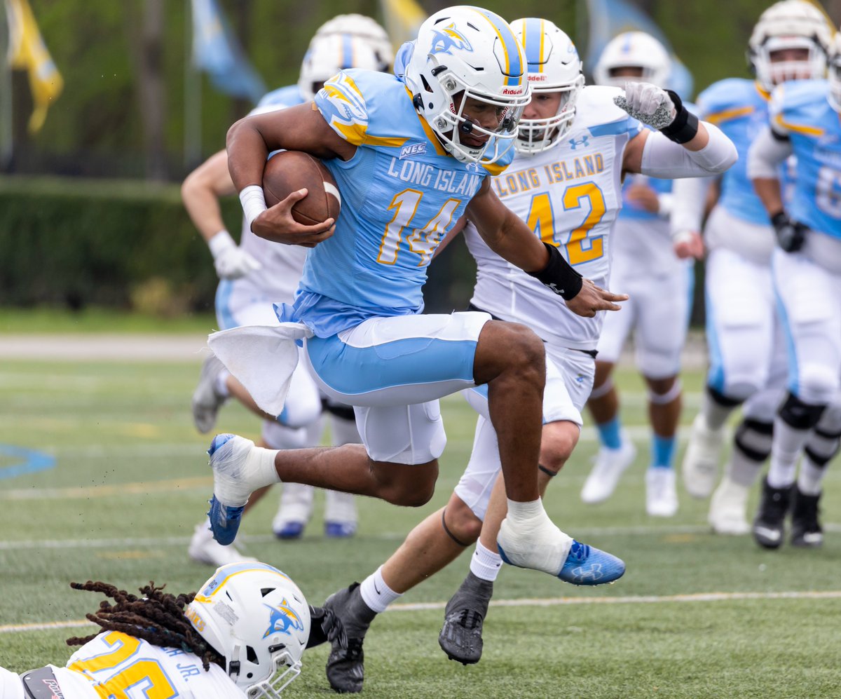 Spring Game! A big thank you to everyone who came out to support LIU football this morning. We are looking forward to seeing you all this fall.