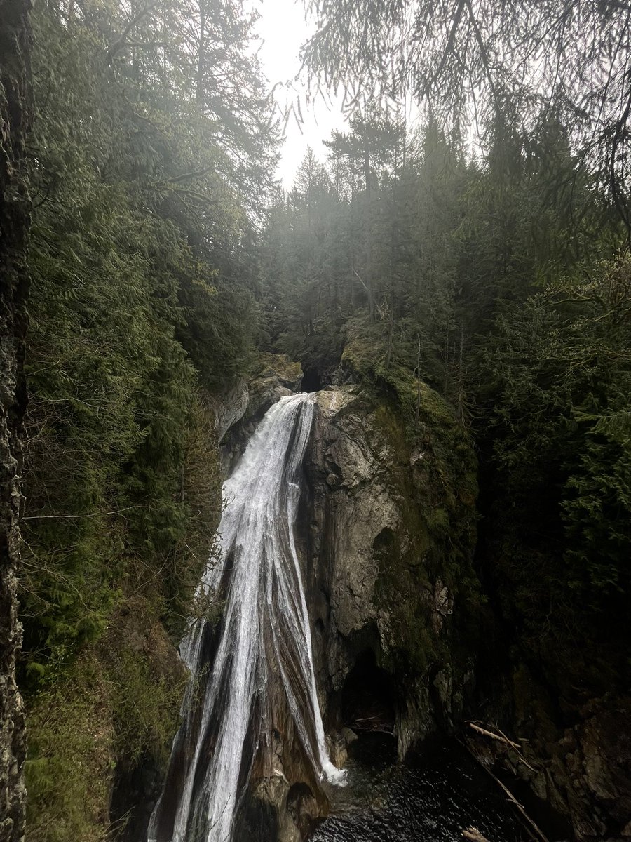 kinzieee22's tweet photo. 1 month in Washington ❤️ I currently work for a couple of Orthopedic surgeons, who are amazing. I’ve also been able to hike and go to some raves. https://t.co/r9BG0YxIlJ
