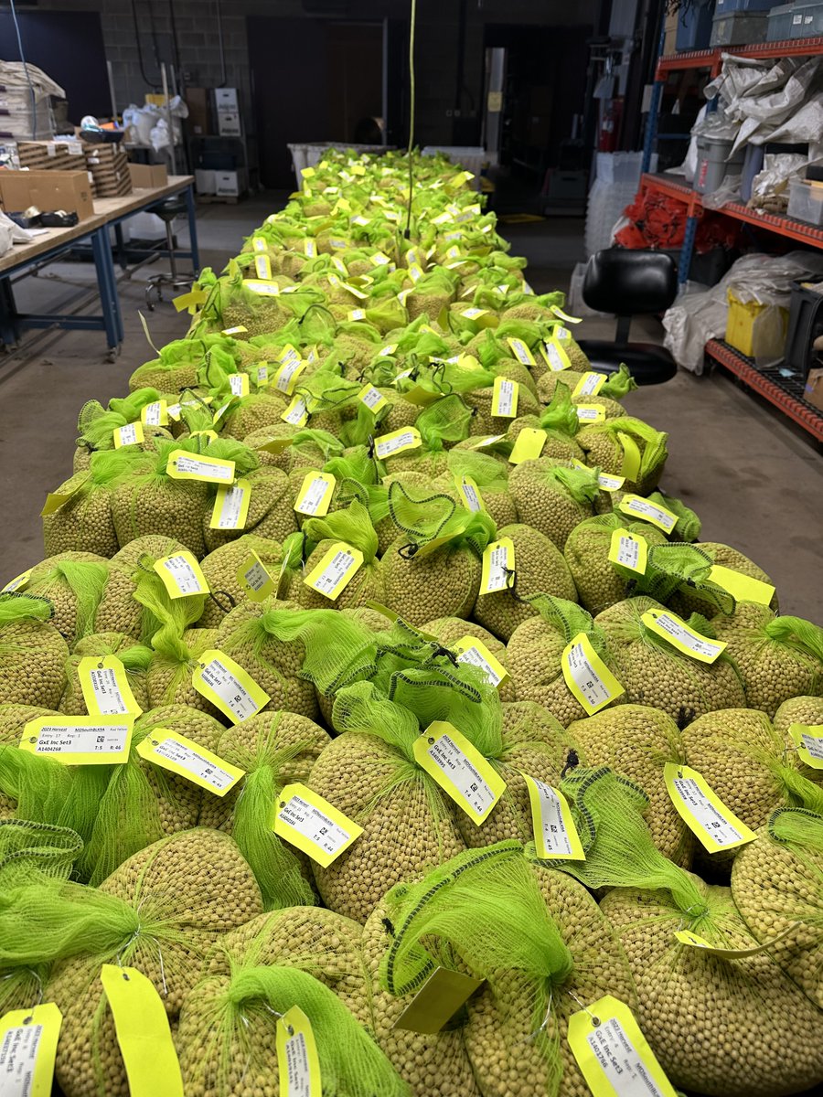 Lovepreet Singh tweet media