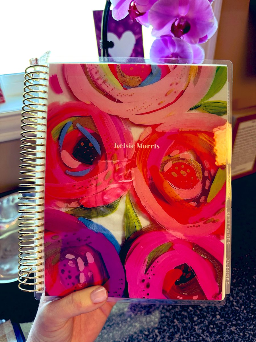 The excitement of my new planner being delivered! 💗✨🫶🏻