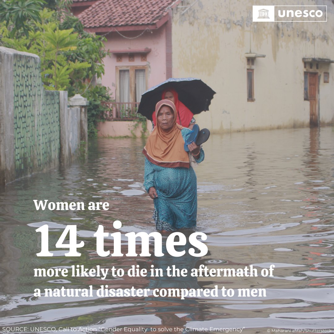 Climate crises disproportionately affect women and girls. UNESCO is taking action to increase investments in gender responsive climate financing, eliminate multiple forms of gender-based violence, and more. ➡️ rb.gy/42iezj #GenderEquality
