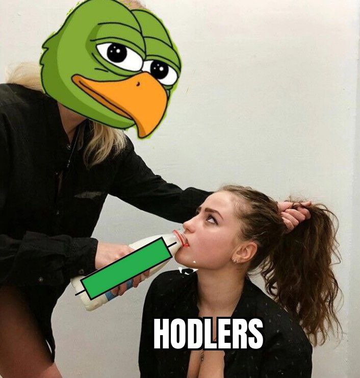 MisfitMobNFT's tweet photo. @BirbOnSolana $BIRB IS THE WORD https://t.co/KS3cWJXW4V