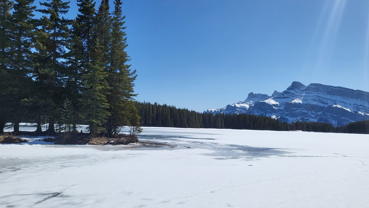 AyaTabor's tweet photo. Literally saw all your cards and immediately went to (and walked on!!!) a frozen lake my heart is so full https://t.co/D9ybupFC0x