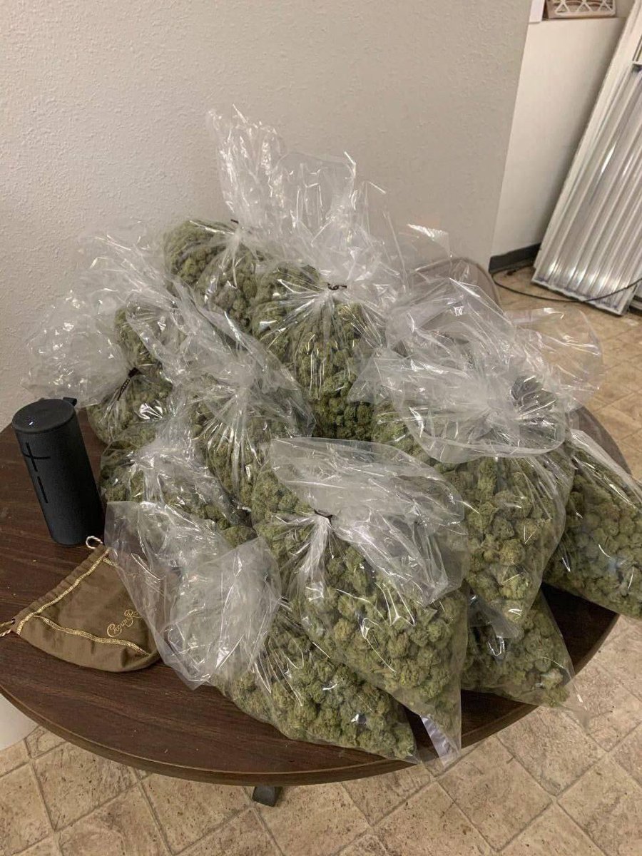 TheRealNa5ty's tweet photo. Giving away a pound to 1 lucky individual

Pick a number from 1-1000 lucky numbers gets a pound each 🍁🔥

Note: pick just once and retweet 

Good luck 🤝🔥

Winner in 24hours https://t.co/pqAJJ5bvkx