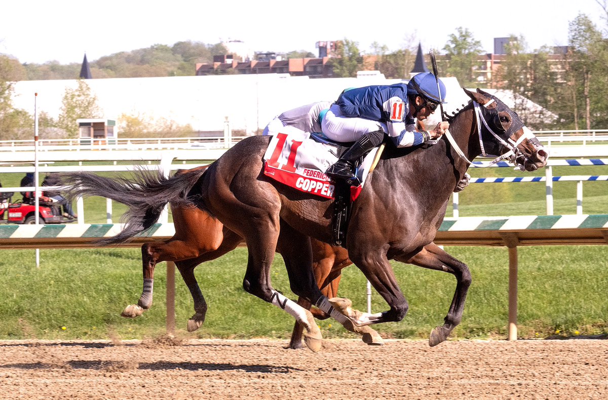 Cooper Tax overcomes very rough trip from far outside post in field of 10 to earn 7th win in 10 starts in 1 1/8M Frederic Tesio S. @LaurelPark. 3YO Copper Bullet colt ridden by J.G. Torrealba for Gary Capuano and owner Rose Petal Stable. (Jim McCue 📷)
