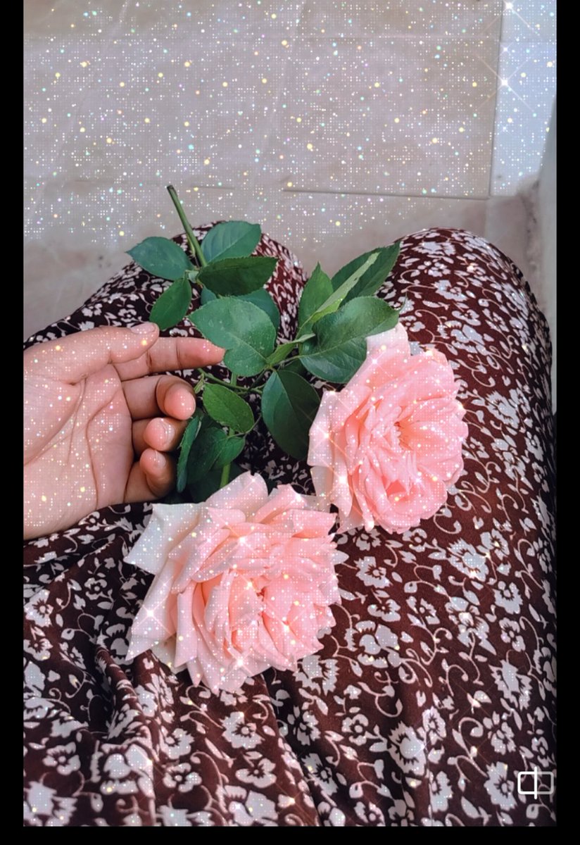 alaaward18's tweet photo. زمان كنت لما بشوف ورد ف ايد حد كنت بجرى عليه زى العبيطة واقعد ازن عليه ممكن وردة  ممكن وردة ولما ميرضاش أقوله طيب ممكن اشمها ويرفض برضوه كنت بزعل اوى بكسرة الخاطر دى وللاسف مكنش عندنا محلات بتبيع ورد وانا كنت بحبهم اوى وكنت عشمانة حد يدينى وردة حتى بس بعد مكبرت حوشت قرشين وقررت.. https://t.co/GQ3IAQQSEM