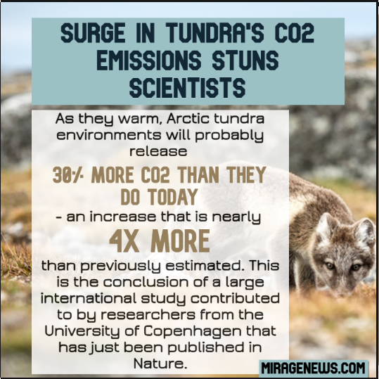 Nothing to see here folks Just the Arctic tundra expected to release 4X more C02 than what was last estimated. - 70 scientists from around the world participated - University of Copenhagen nature.com/articles/s4158… #ClimateCrisis