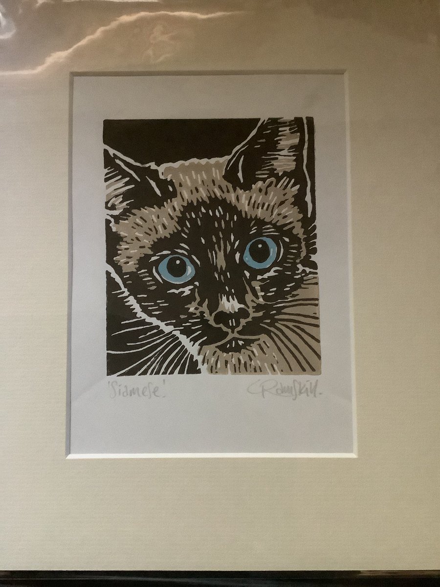 felinegraphics's tweet photo. @littleramstudio Received my print today. Thanks! https://t.co/qanlZFXF56
