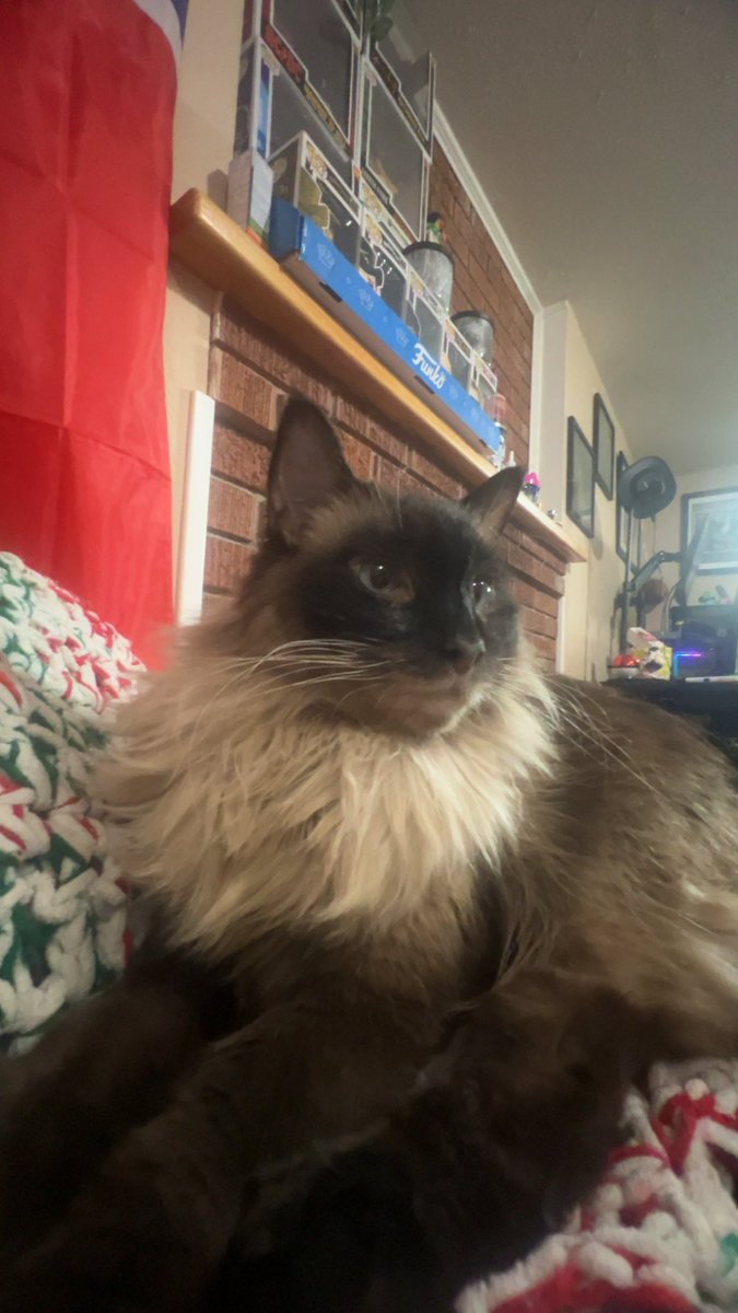 Lemmonade tweet media