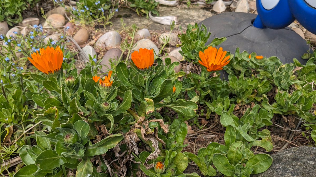 Stun Hunter tweet media