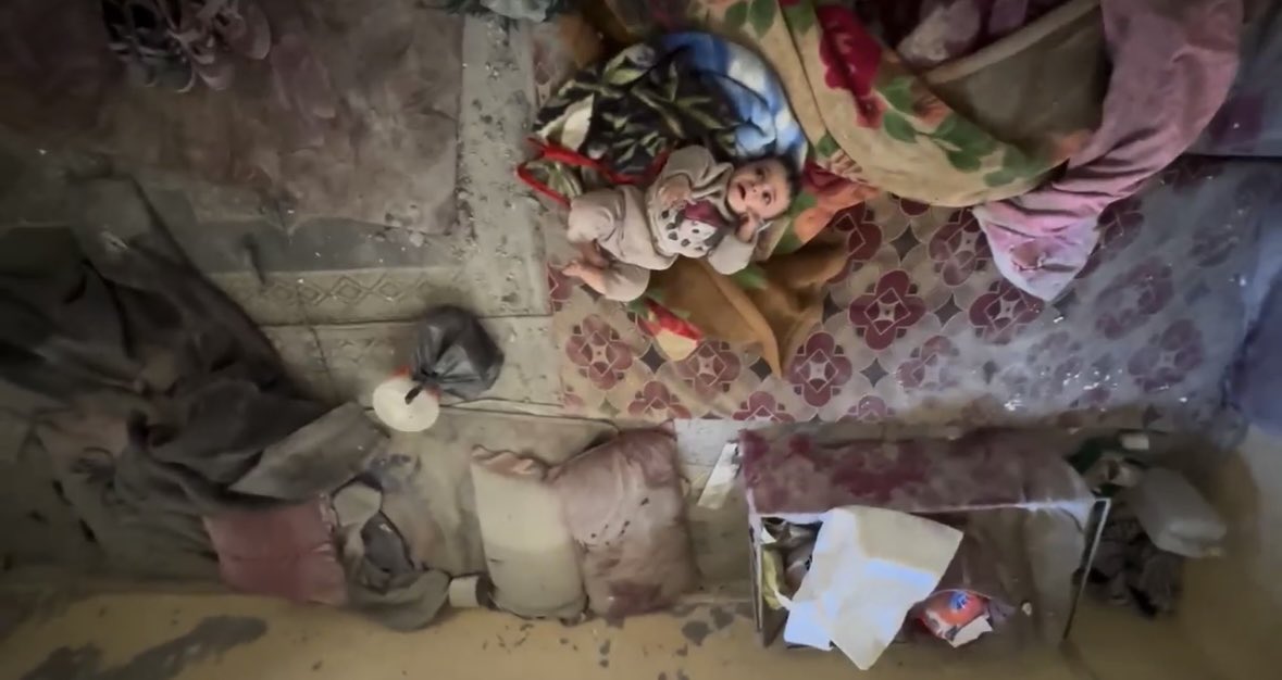 Mohamad Safa tweet media