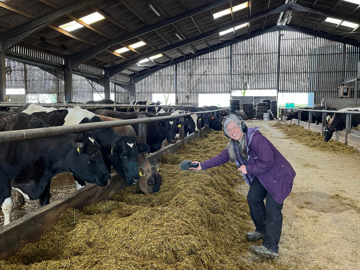 Around 15% of people are neurodivergent + up to 30% in farming communities; that's dyslexia, autism, ADHD + more. Fascinating to talk to dairy farmer @Lizhaines6 + @LantraUK for tmw's @BBCFarmingToday OYF about her @NuffieldFarming study on Neurodiversity in Ag.