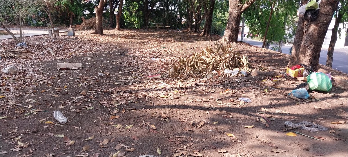 edwin_l95's tweet photo. @GobiernoDeColon Y los parques para cuando??? O acaso no necesitan espacios los pequeños para divertirse?? Parques en nuevo Lourdes llenos de basura. https://t.co/Qk6dROx3aX