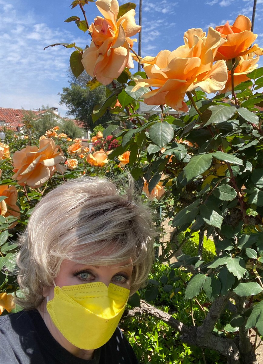 #OnMyWalk I found these gorgeous, giant apricot #Roses at Bing Crosby’s old house! I think they’re Just Joeys. Mountains of them! #BeKind #ReachOut #SpringIsHere #YouAreTheAnswer Sending Love To You All🧡🎉💛🌹🧡🦋💛🌷🧡🎉💛🌹🧡🦋💛🌷🧡🎉💛🌹🧡🦋💛🌷