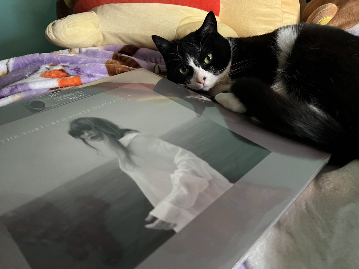 Got one of the vinyls today!! Hestia loves it 🤭 @taylornation13 @taylorswift13
