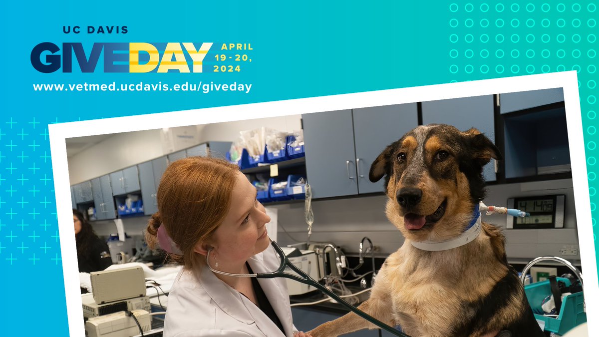 Thank you to everyone who has already made a gift to #UCDavisVetMed this #UCDavisGiveDay. There's still time to support our people and programs if you haven't had a chance! Donate at  vetmed.ucdavis.edu/giveday