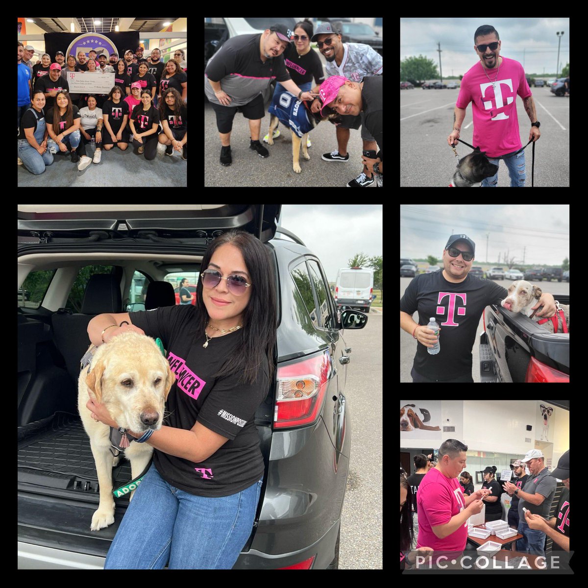 Special thanks to everyone who volunteered at @pvastx today! Not only will your time be doubled by the Magenta Match , the T-Mobile Foundation has also donated $5k to support the intake, adoption, foster, rescue, transport, & wellness for these animals in need! @MissionTXperts