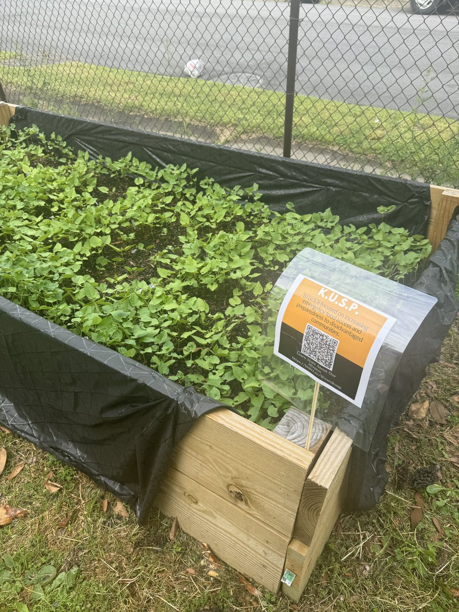 amycwentz's tweet photo. How it started: Collective Worker Katina held a seed drive with BlackHopeVA + Rotary &amp; delivered Collective Worker Jay of K.U.S.P. seeds for her new Community Garden initiative! 
How it's going: Garden Opening event today in Norfolk. @TCIFiscal #CollectiveWorkVA https://t.co/9EGbfrbfI3