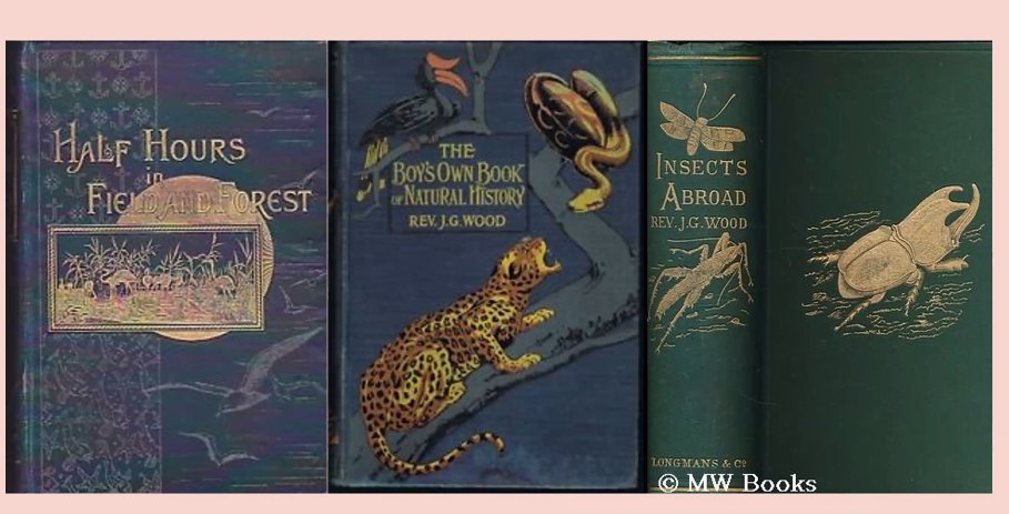 The inimitable @frankendodo on Lewis Carroll, Natural History Publishing & Bugs @AliceAmerica #Litsci #Histsci