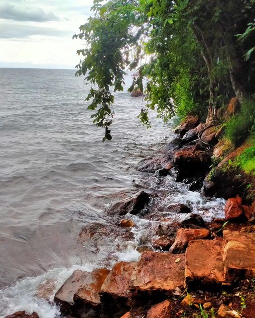 From the shores of Lake Tanganyika,