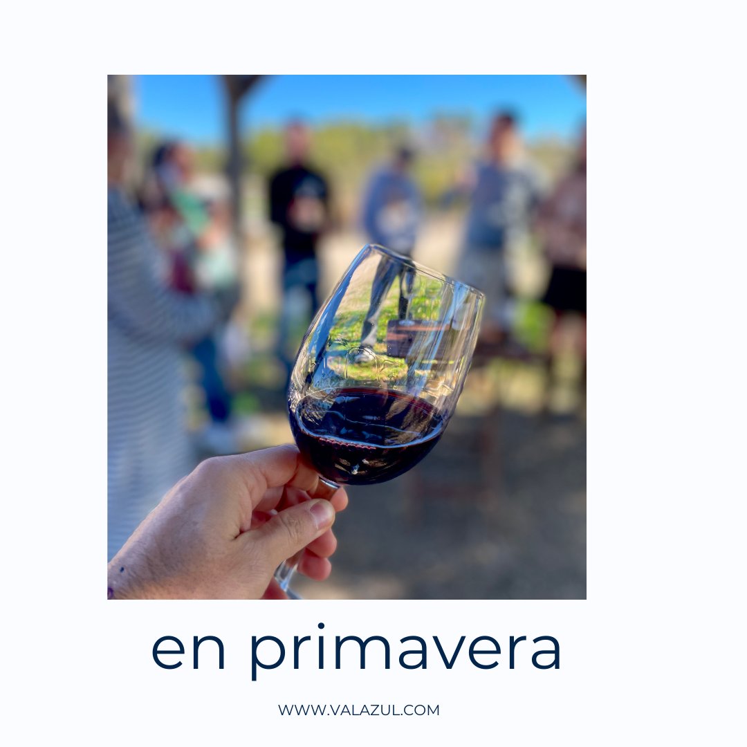 En Val Azul nos encanta recibir visitas. A veces son personas aficionadas al mundo del vino, incluso expertas. Otras veces no tienen ningún conocimiento previo. Casi todas salen enamoradas. ¿Te animas? Llámanos y reserva.  #enoturismo #vino #winetour