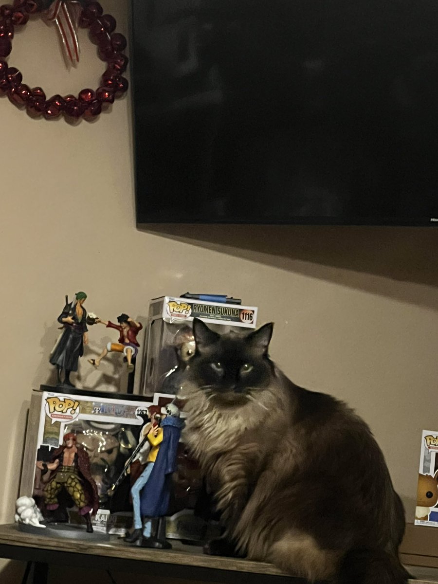 Lemmonade tweet media