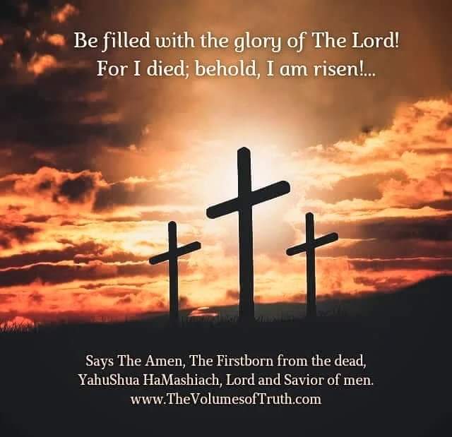* Excerpt from; thevolumesoftruth.com/Unleavened

#TheMessiah #ThePassion #TheResurrection #Firstfruits #TheCrucifixion #TheVolumesofTruth #LettersfromGod #IamRisen #salvation #HolyDaysofGod  #Passover #TheNewCovenant #TheLambofGod #TheLivingBread #unleavenedBread #YahuShua #ImmanuEl