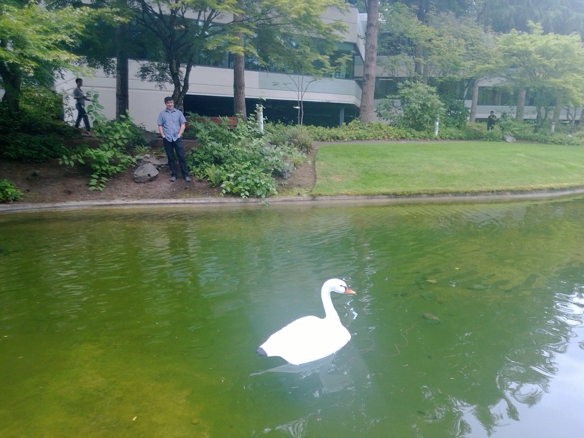 Found this photo from 2013 when folks put a fake goose in Lake Bill