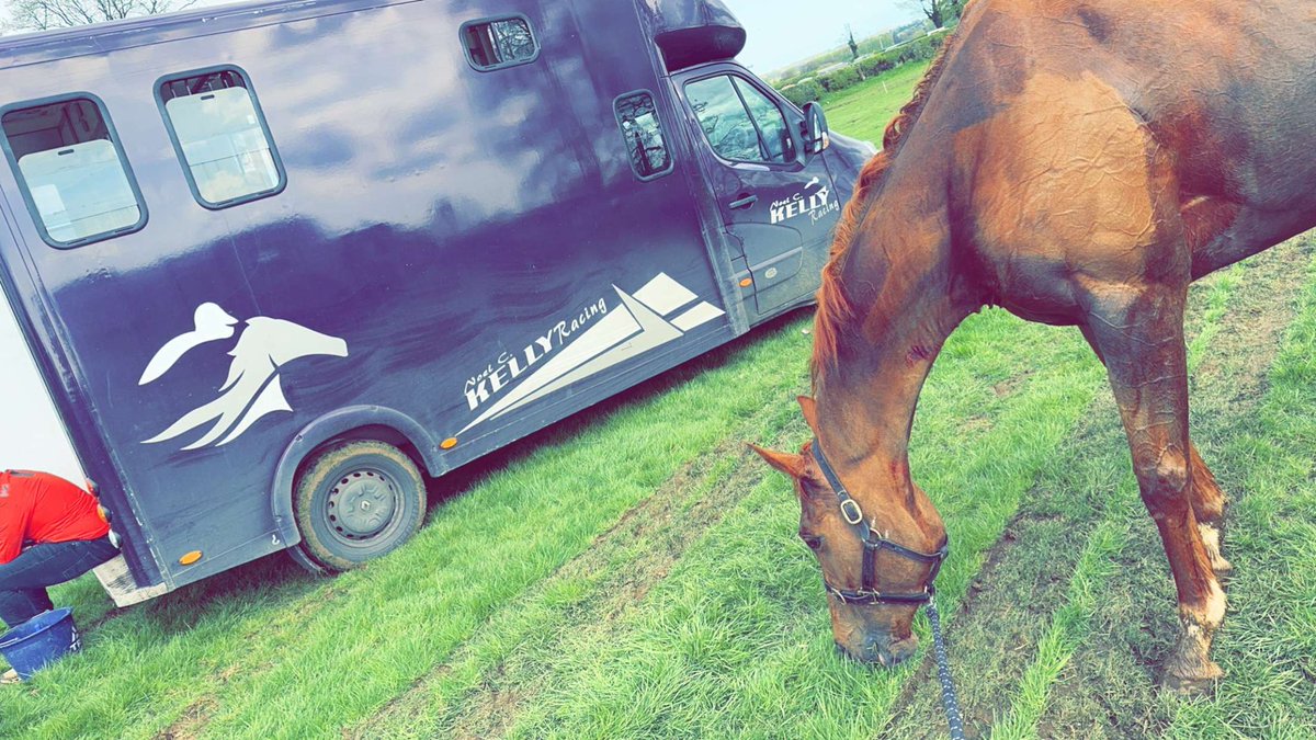 Cherry Brave won the 5 year old mares maiden today at Loughanmore with Orán on board.  Well done to all connections &amp; staff 🐎