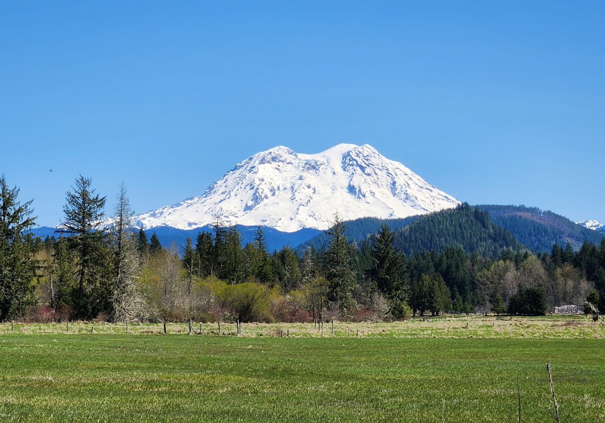 Yesterday was another spectacular day in the northwest, a great day to drive from #Portland back to #Seattle. Here's the mountain, from 20 miles away: