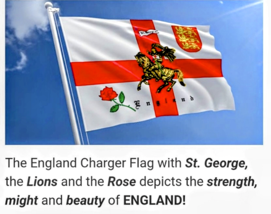 Jedut 🕊️☘️🌿🍀💚 tweet media