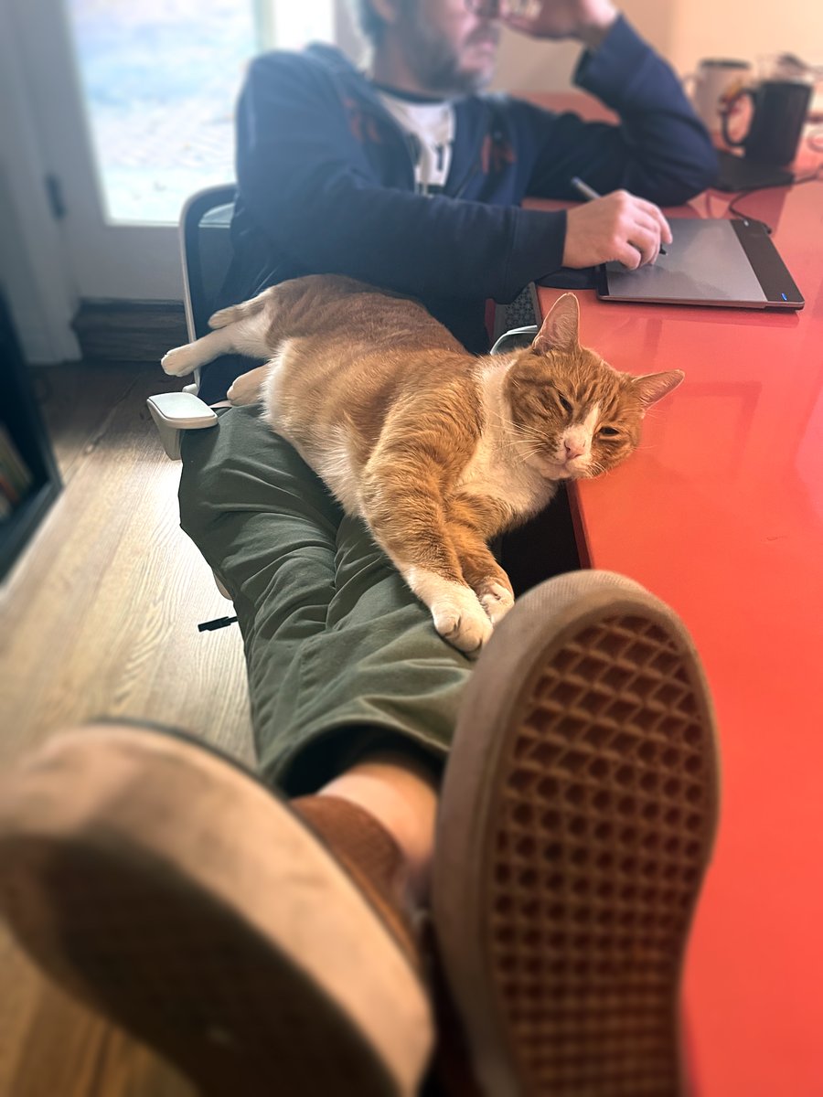 TolonBrown's tweet photo. This counts as a "behind the scenes" pic in the age of computer animation &amp; remote work. Ha! Not my cat by the way. Mr. Legs comes over from the neighbor's when he senses stress, like one of those dogs that can smell terminal illness. He's here a lot. #HOP #StreamOnMax #MrLegs https://t.co/FNkVYzVglA