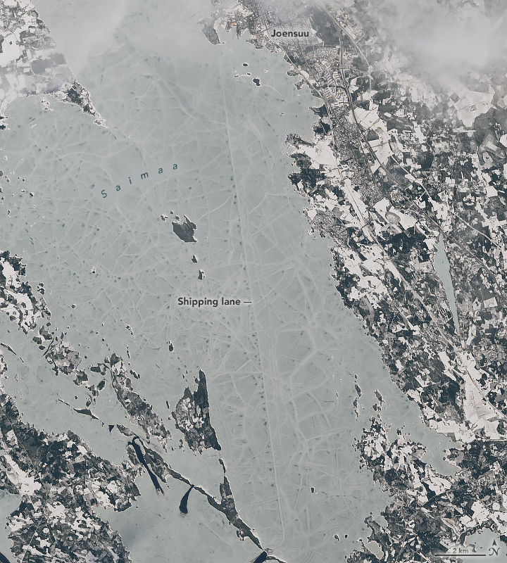 This calls for some icebreakers! 🧊 Large icebreaking vessels keep the icy waters of Saimaa, the largest lake in Finland, navigable for much of the year. #Landsat 8 captured this image of the lake in April 2024. The vertical line is a shipping lane! go.nasa.gov/3UocHqJ