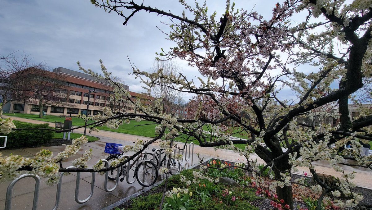 Signs of Spring at @SyracuseU 🌷