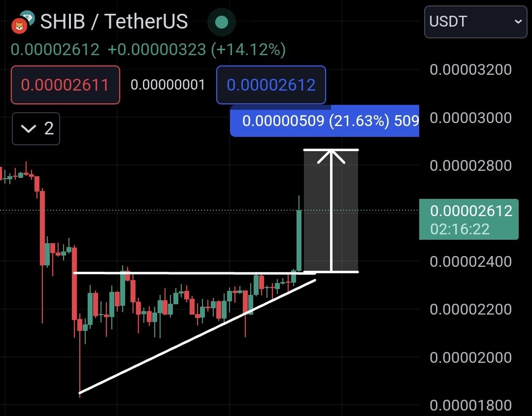 army_shiba's tweet photo. HIGHER $SHIB 😤 https://t.co/ZVrnfl7RAa