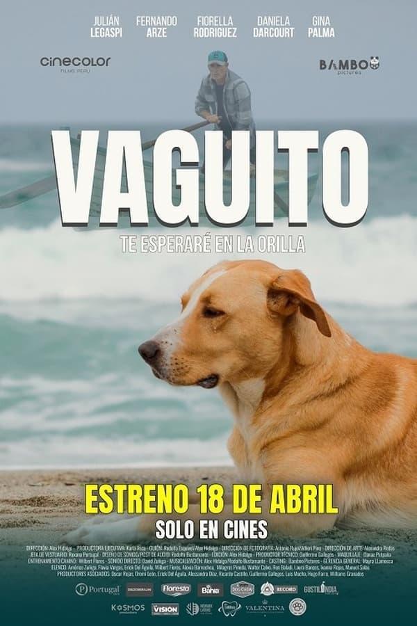 Se estrenó Vaguito pero las salas están vacías😭 Vaguito, 'el Hachiko peruano', es la historia real de un perrito en Punta Negra y su fidelidad por un dirigente pesquero que lo adoptó. Una película que concientiza de inicio a fin ¡Apta para toda la familia! ¡Apoyemos lo nacional!