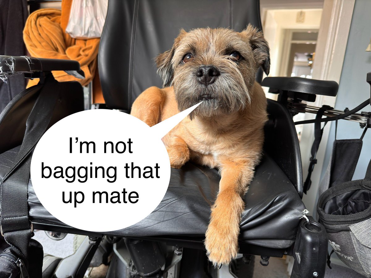 You need to contact a specialist for that service. 

#BTPosse #dogsoftwitter #dogs #dogsontwitter #dogsofx #dogsonx